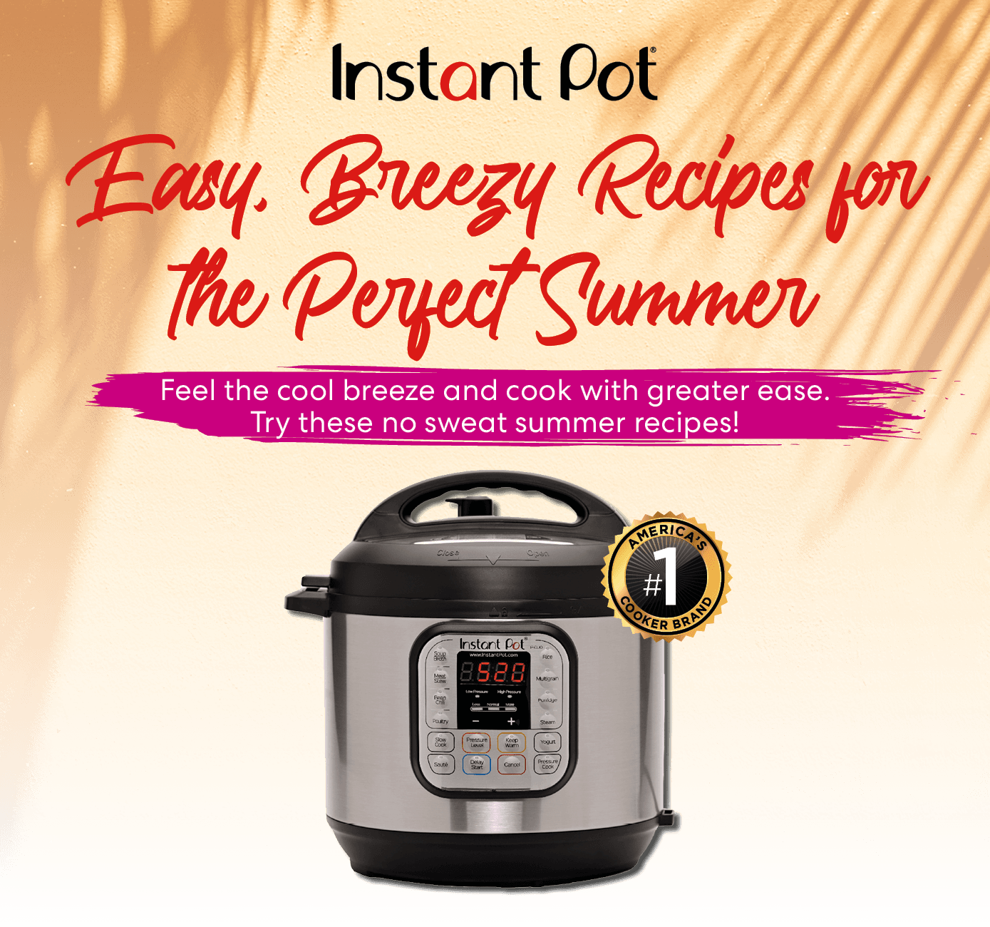 Instant Pot Blog Image