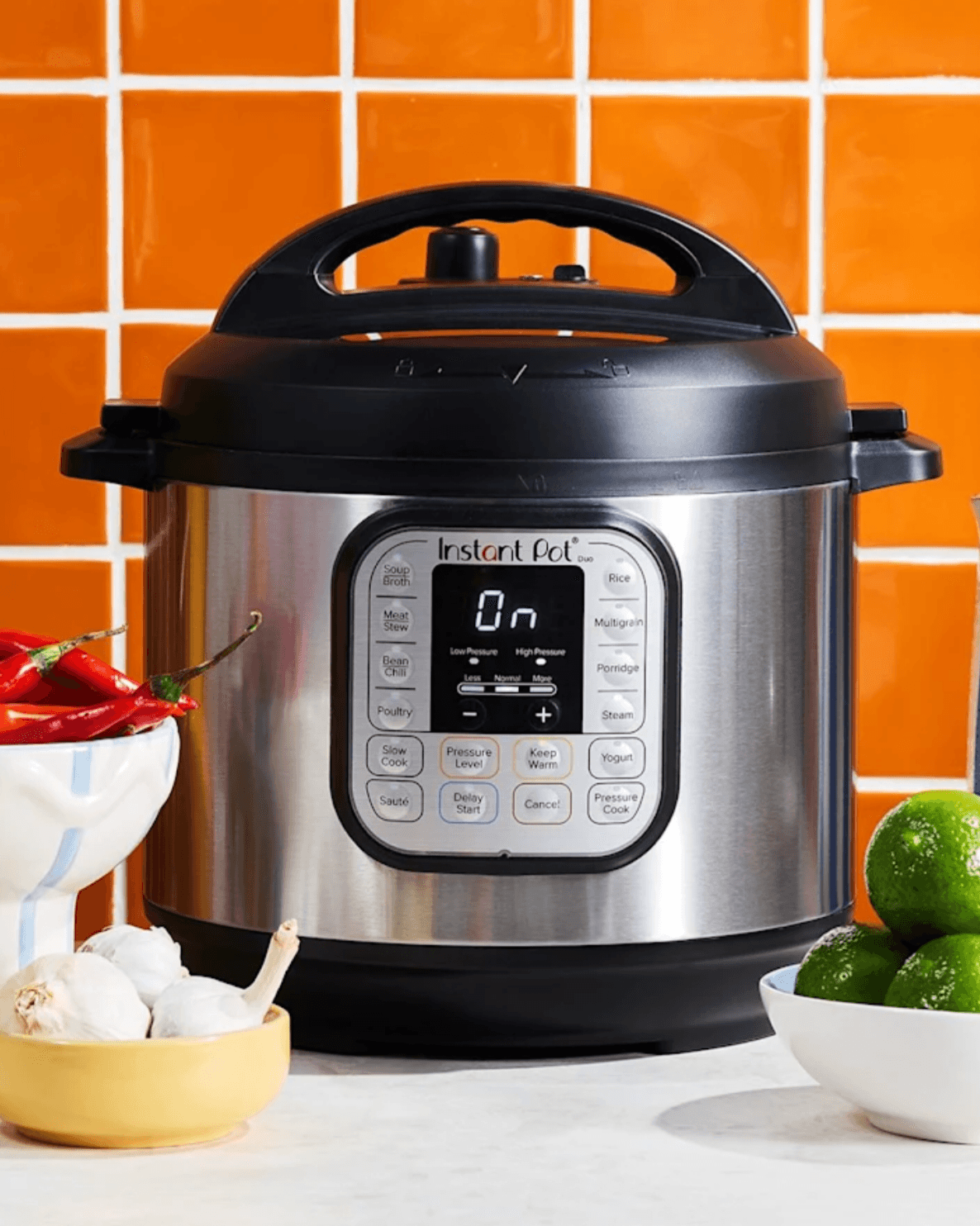 Instant Pot Duo